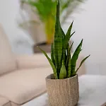 Epta *